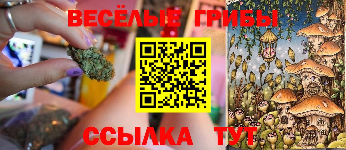 Псилоцибиновые грибы Magic Shrooms  Вход с VPN  где купить наркотик  Саранск  Галлюциногенные грибы мицелий 